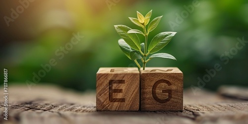Environmental, social, and governance make up the ESG concept.A woodblock with the ESG icon represents a concept for long-term, sustainable corporate growth. consider the social structure, the environ