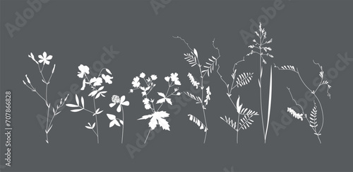 Field flowers and grasses, line drawing. Vector illustration