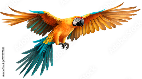 Beautiful flying macaw isolated on white background photo