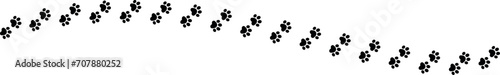 Paw print of dog isolated on transparent background. cat paw print. cat walk foot print.