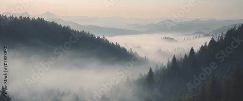 Beautiful View of Misty Mountain Forest Landscape Ultrawide 4k Wallpaper Photo © Nouzen