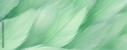 Green pastel feather abstract background texture