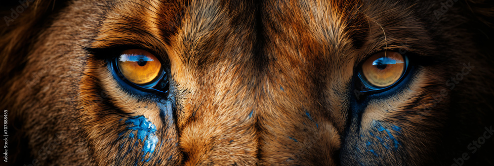 An image of a lion's face looking away, in the style of symmetrical composition, photo taken with provia, macro photography, explosive wildlife, national geographic photo, eye-catching, high resolutio