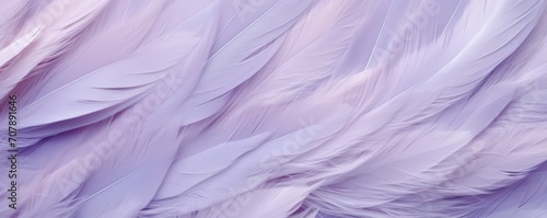Lavender pastel feather abstract background texture