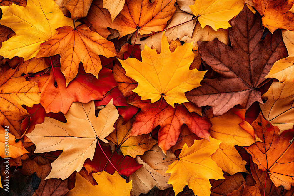 Autumn Leaves Pattern Background Autumn Leaves Pattern Background