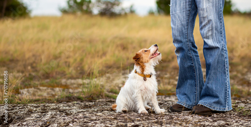 Obedient cute happy dog puppy sitting and looking at her trainer owner. Pet obedience training banner.