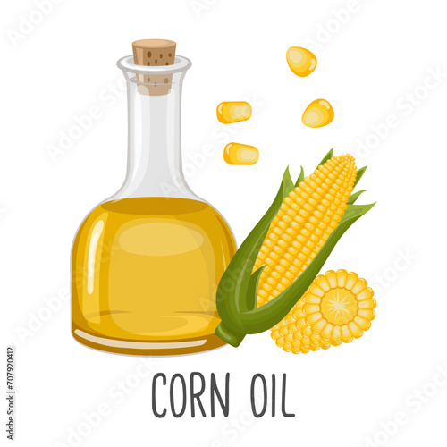 Corn oil, sweet corn seeds and cobs. Corn seed oil in a bottle. Food. Illustration, vector