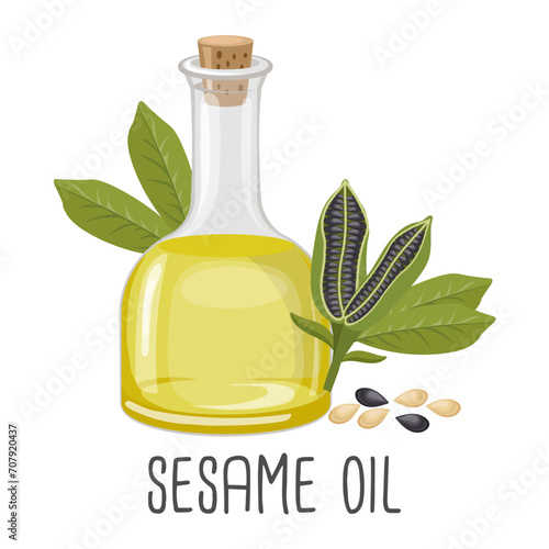 Sesame oil, seeds and sesame plant. Sesame seed oil. Food. Illustration, vector