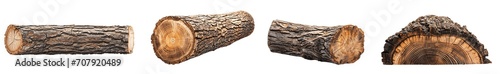Collection of tree logs isolated on white or transparent background, set of 4 wood log, wooden timber with tree bark hd photo
