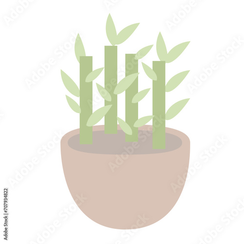 Bamboo plant in a pot vector illustration
