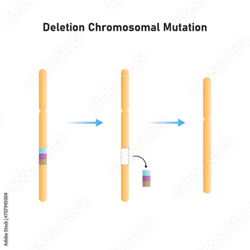 Deletion Chromosomal Mutation Scientific Design. Vector Illustration.