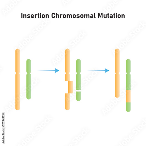 Insertion Chromosomal Mutation Scientific Design. Vector Illustration.