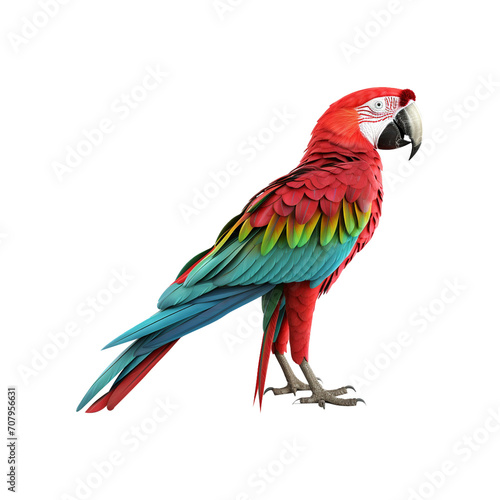 Red and blue macaw on transparent background