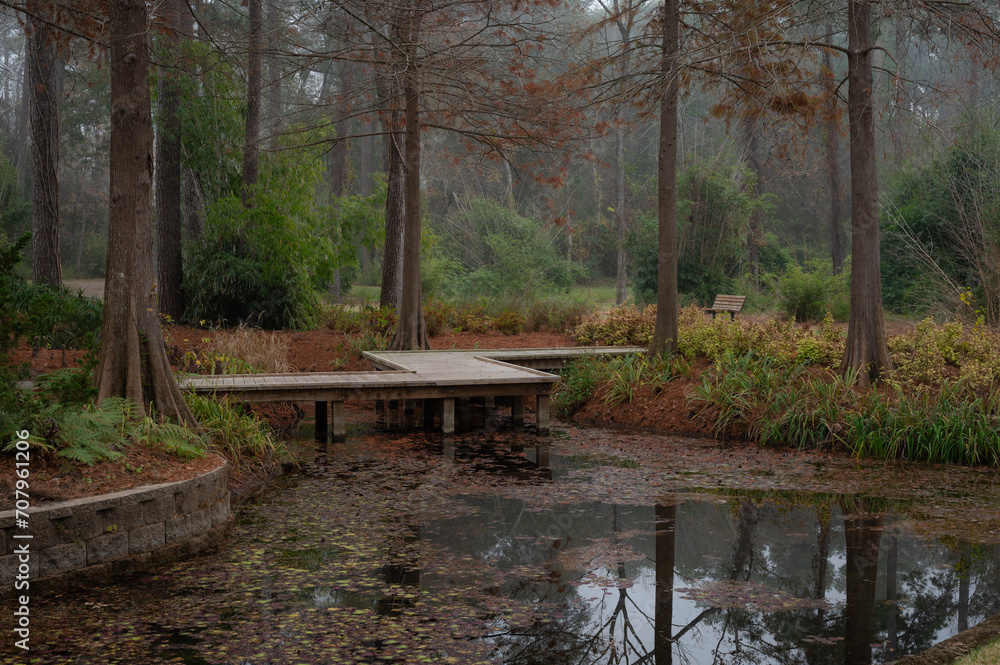 Bald cypress trees surround a pond in a Texas forest. Bald cypress trees surround a pond in a Texas forest.