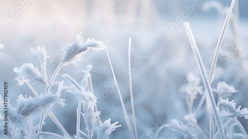 Plant covered with frost, hoarfrost or rime in winter morning, natural background Plant covered with frost, hoarfrost or rime in winter morning, natural background © Ziyan Yang