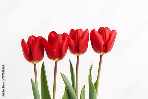 photography of some red tulip flowers on a white background  in the style of playful compositions created with Generative Ai