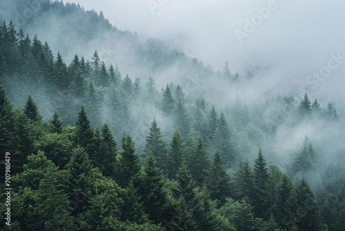 A misty forest landscape with fog covering the trees. Perfect for creating a mysterious and atmospheric setting. Ideal for backgrounds, nature-themed projects, and storytelling visuals © Fotograf