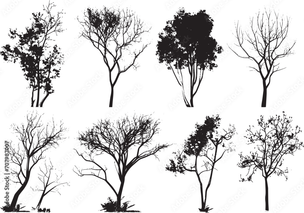 Obraz premium Set Trees. Hand drawn vector illustration