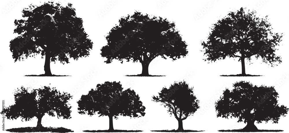 Fototapeta premium Set Trees. Hand drawn vector illustration