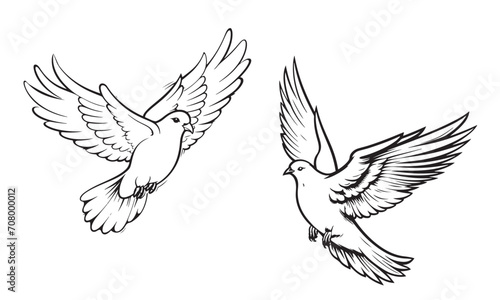 Pair of pigeons sketch hand drawn Vector illustration Birds