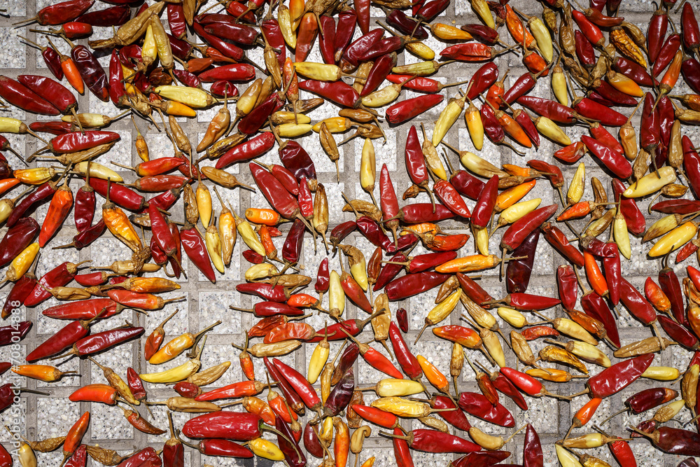 Chili pepper background. Hot red chili peppers are dried in the sun outside. Mexican cuisine, spices, food concept.