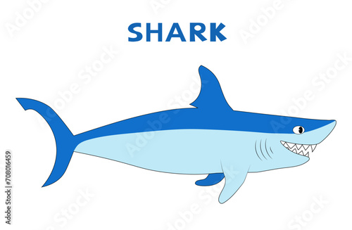 Shark. Vector cartoon color image.