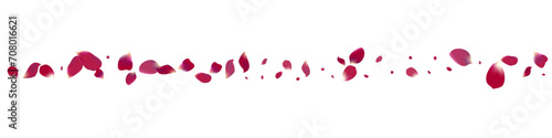 Purple Rose Fly Vector Transparent Panoramic