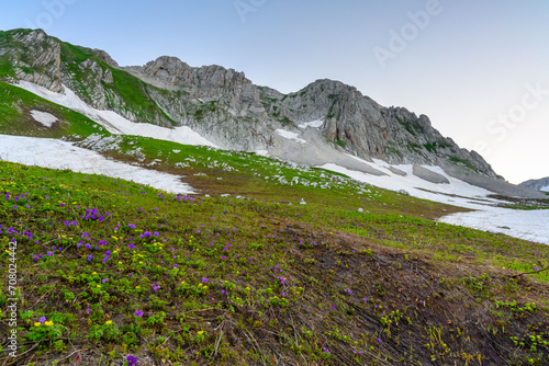 The snowdrifts and green grass on top of mountains in the tropical forest at sunrise.