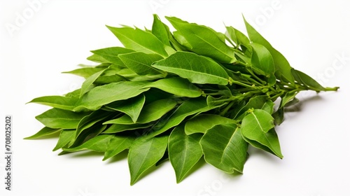 an isolated pile of curry leaves on a clean white canvas, capturing the herb's vibrant green color and aromatic qualities. photo