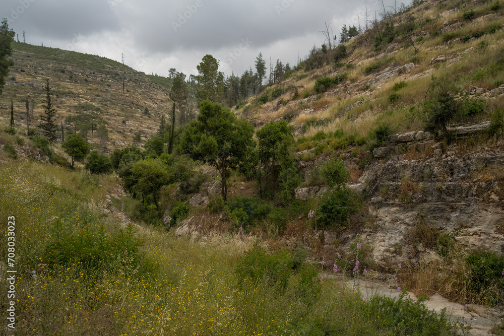 A Dry Riverbed in the Judea Mountains, Israel