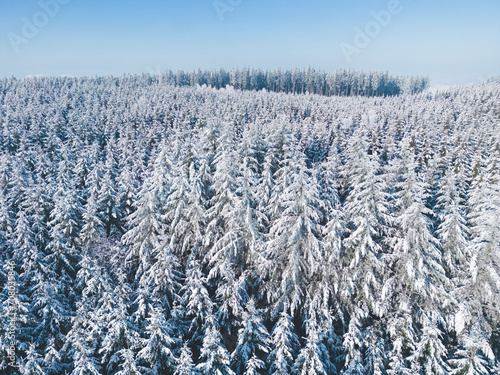 Aerial view of a frozen winter wonderland forest in southern Bavaria, Germany