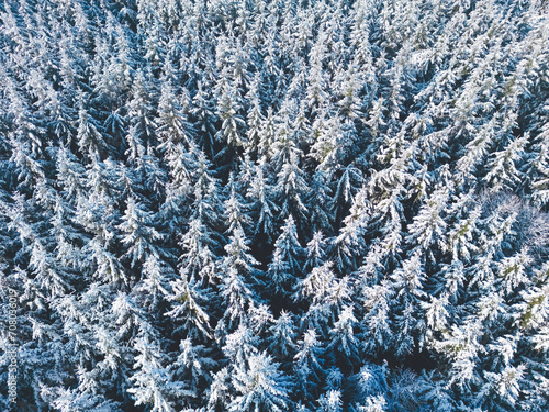 Top down drone shot of frozen tree tops in a winter wonderland forest in southern Bavaria, Germany 