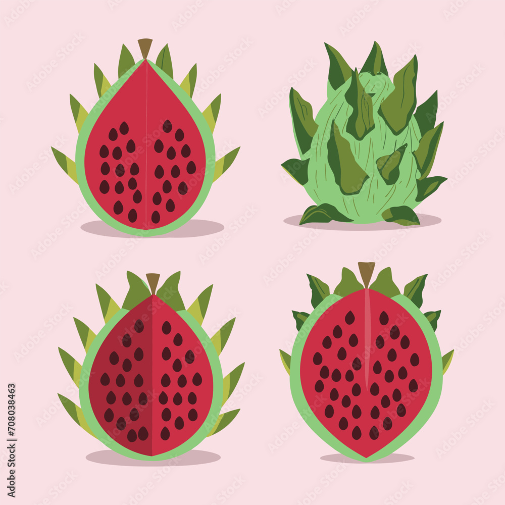 illustration of a set of dragon fruits illustration of a set of dragon fruits