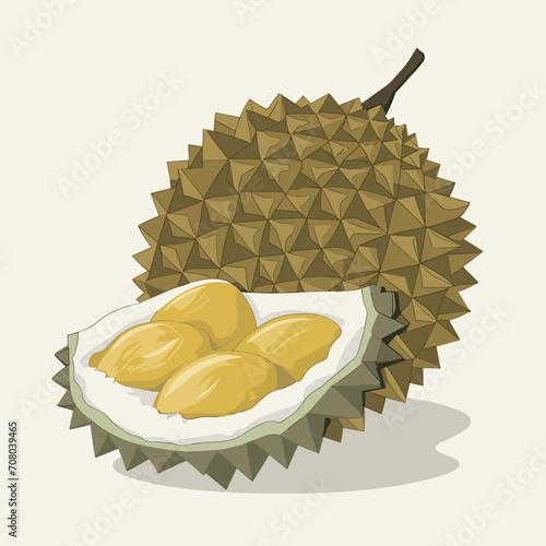 durian fruit design, vector illustration eps10 graphic.