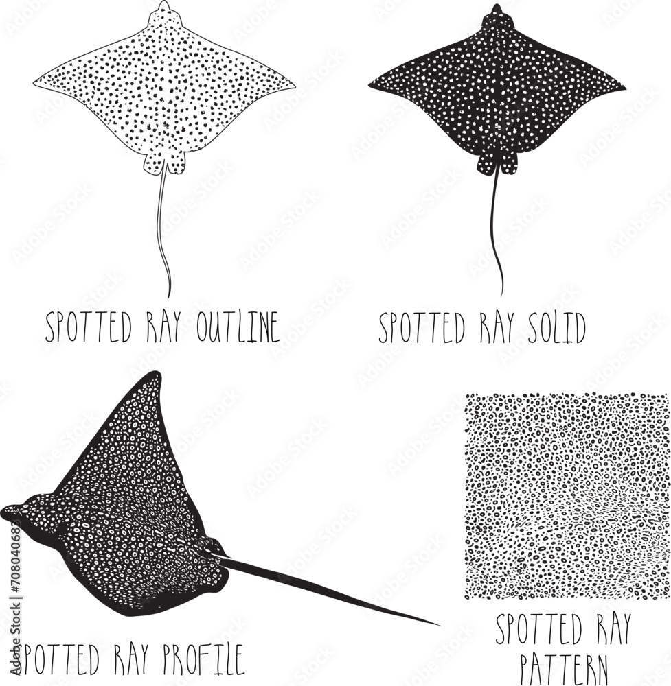 spotted eagle ray Aetobatus narinari water sea ocean silhouettes vector