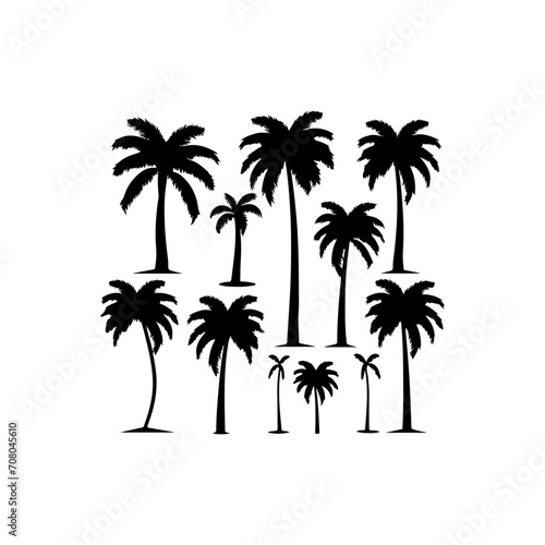 Black palm trees silhouette. Coconut tree set vector illustration on a white background 