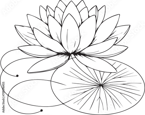 Nymphaea water lily drawings, outline water lily drawing, outline water lily flower drawing, black and white water lily drawing, sketch water lily drawing, hand drawn sketch water lily drawing