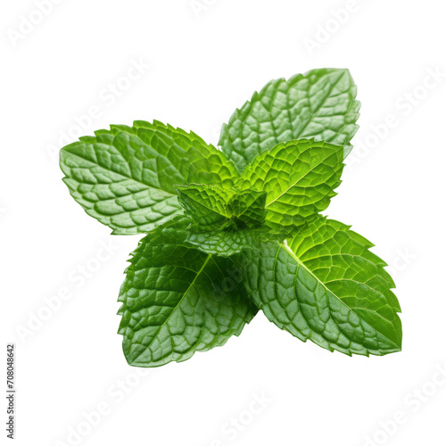 Fresh green and vibrant peppermint leaves. top view (2)