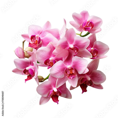  Cattleya Orchid bouquet in shades of purple  white  and pink symbolizes the beauty of growth and blooming.