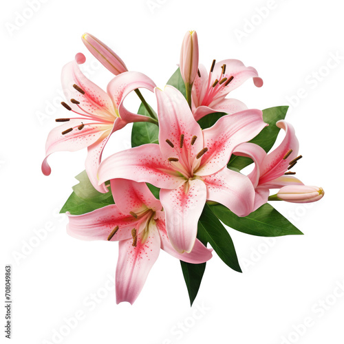 lily  Pink   Wealth and prosperity  2 