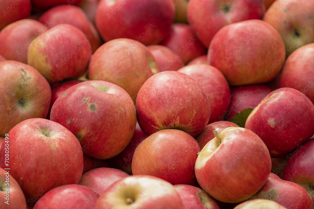 A bunch of organic red apples, picked and stored in wooden crates for the winter. Fruits background. Red apples background. A bunch of organic red apples, picked and stored in wooden crates for the winter. Fruits background. Red apples background.