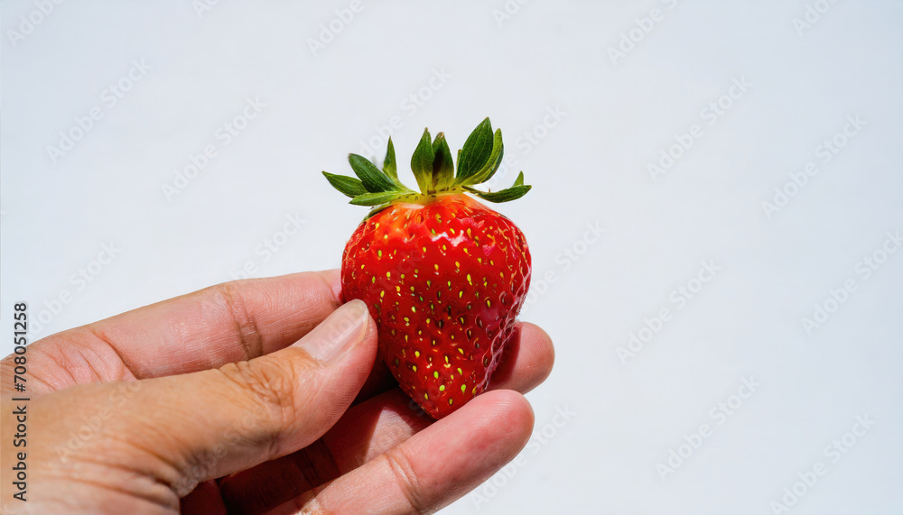 Obraz premium Strawberry in hand