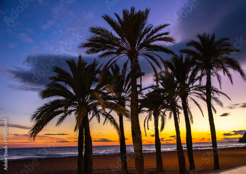 Picture postcard view of tall palm trees on an empty sandy beach on Mediterranean Coast on sunset in Benidorm  Spain