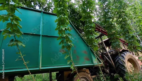 hops farmers with tractor  in collection of hop cones in Villoria village on Leon, Spain , video hd footage photo