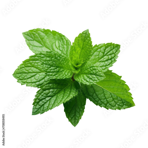 peppermint leaves. top view
