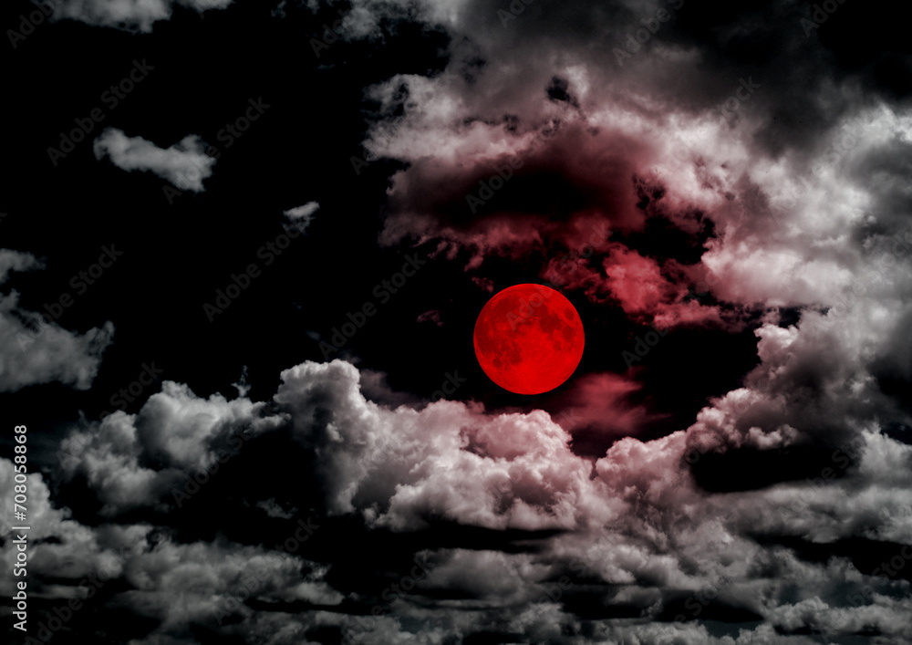 The moon in the night sky