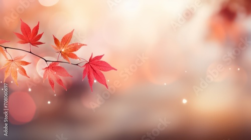 Maple leaves in autumn season with bokeh light background