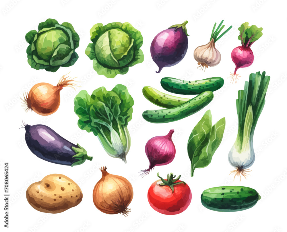 A set of vegetable icons. Different drawings of colored vegetables cabbage, potatoes, tomatoes, cucumbers, eggplants, greens A set of vegetable icons. Different drawings of colored vegetables cabbage, potatoes, tomatoes, cucumbers, eggplants, greens