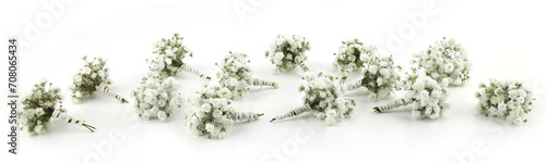Small white Gypsophila flowers isolated on white background..Small bouquets of fluffy and cloud-like Gypsophila, commonly known as 'Baby's breath'. photo