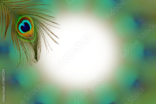 colorful peacock feather texture design in blurs circle cutout in transparent background,png format,text copy space